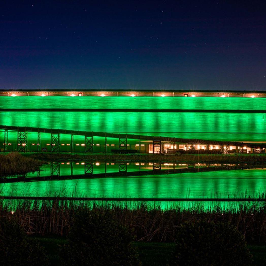 The Ark Encounter in Green
